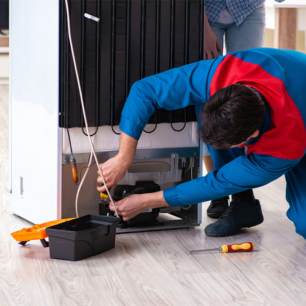 what are the common refrigerator repair services in Meadowbrook